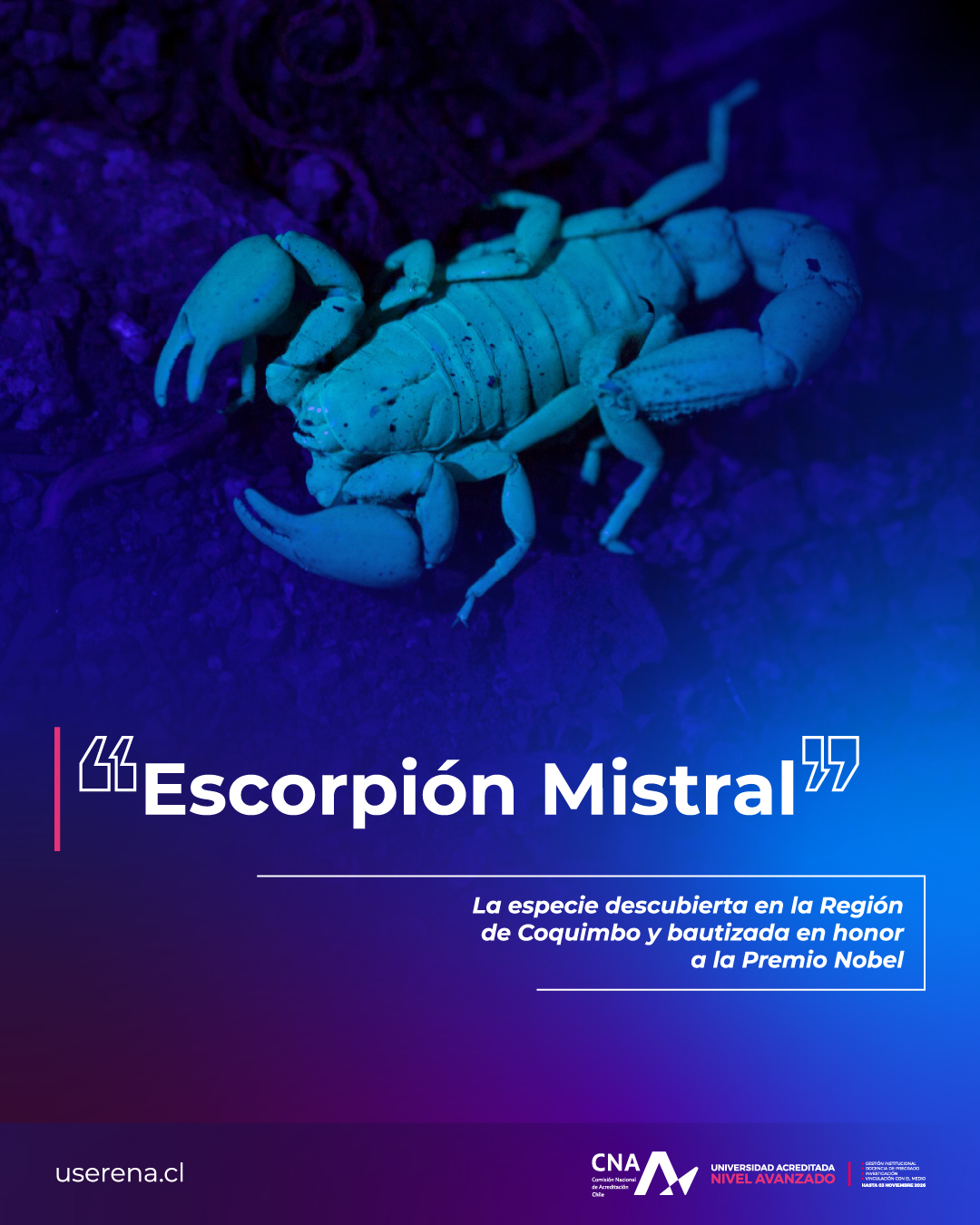 investigacion-escorpion-rrss